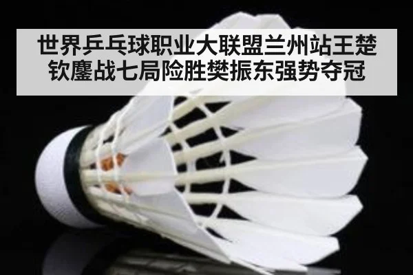 世界乒乓球职业大联盟兰州站王楚钦鏖战七局险胜樊振东强势夺冠